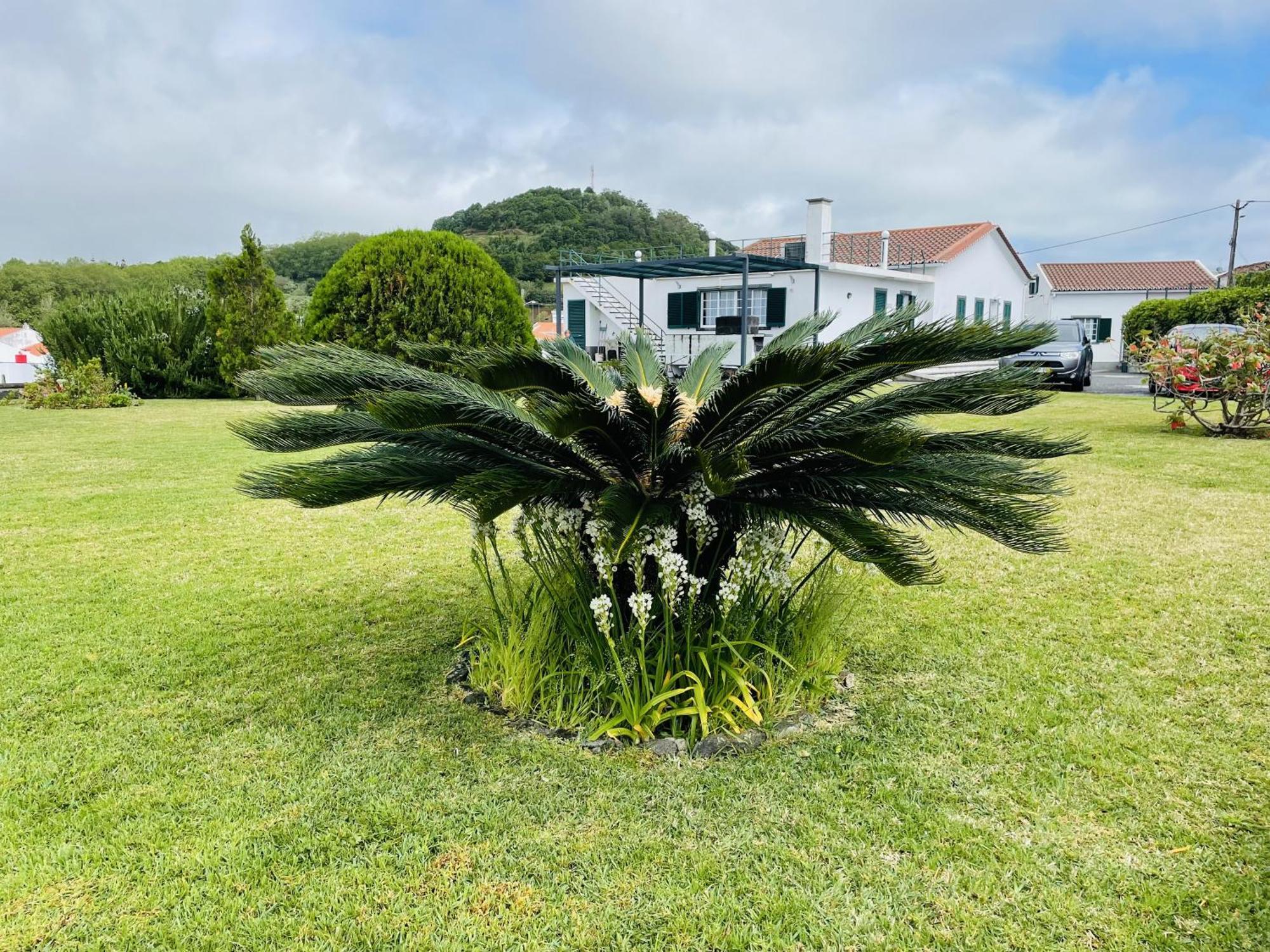 Casa Da Faja Villa Ponta Delgada Kültér fotó
